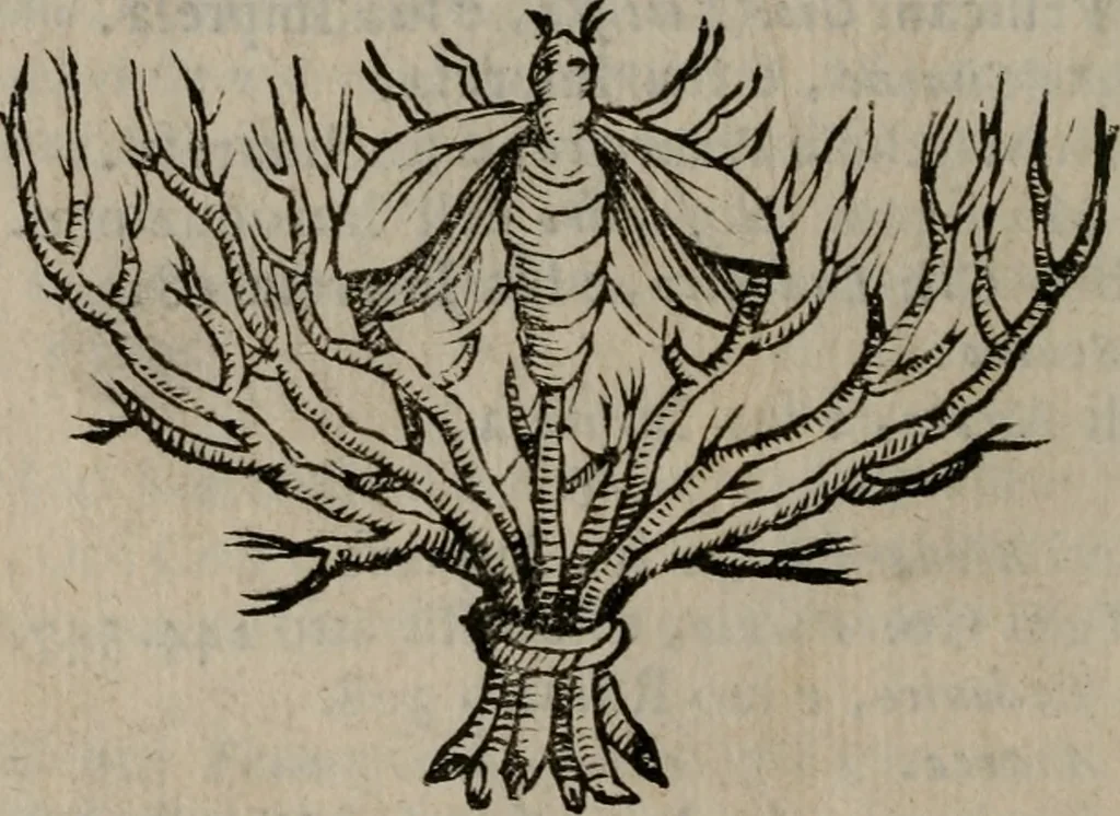 An illustration from Memorie, imprese, e ritratti de' signori Accademici Gelati de Bologna, 1672, leaf 23