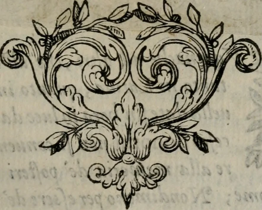An illustration from Memorie, imprese, e ritratti de' signori Accademici Gelati de Bologna, 1672, leaf 242