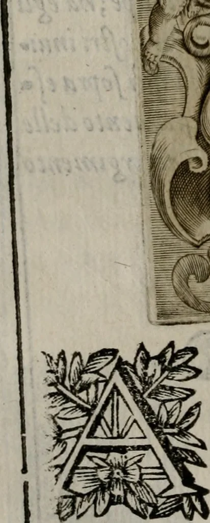 An illustration from Memorie, imprese, e ritratti de' signori Accademici Gelati de Bologna, 1672, leaf 243