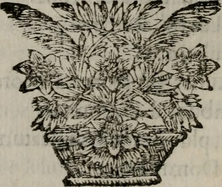 An illustration from Memorie, imprese, e ritratti de' signori Accademici Gelati de Bologna, 1672, leaf 247