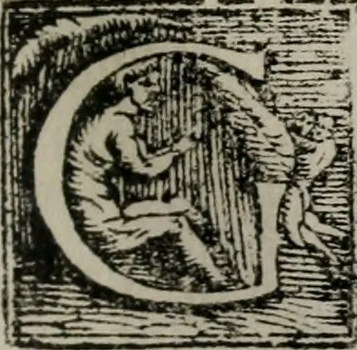 An illustration from Memorie, imprese, e ritratti de' signori Accademici Gelati de Bologna, 1672, leaf 248