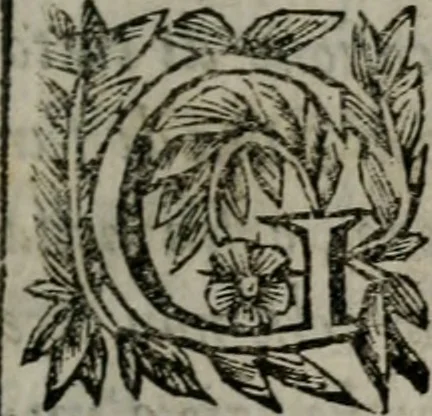 An illustration from Memorie, imprese, e ritratti de' signori Accademici Gelati de Bologna, 1672, leaf 252