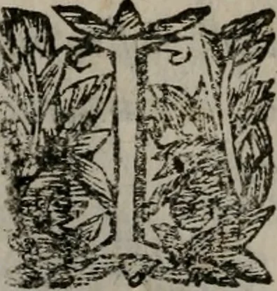 An illustration from Memorie, imprese, e ritratti de' signori Accademici Gelati de Bologna, 1672, leaf 269
