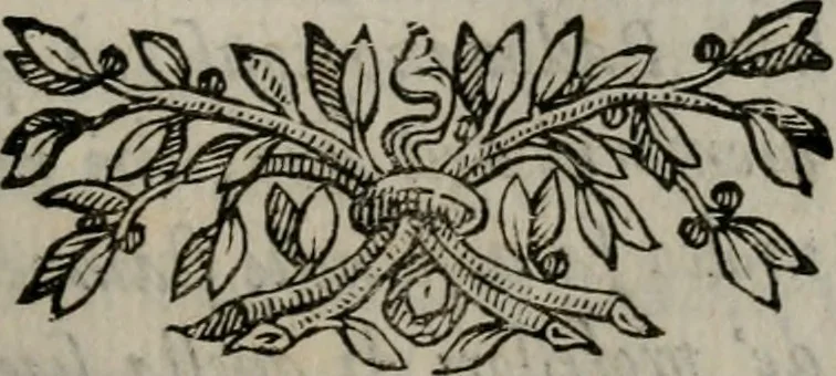 An illustration from Memorie, imprese, e ritratti de' signori Accademici Gelati de Bologna, 1672, leaf 270