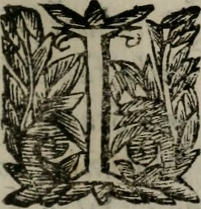 An illustration from Memorie, imprese, e ritratti de' signori Accademici Gelati de Bologna, 1672, leaf 282