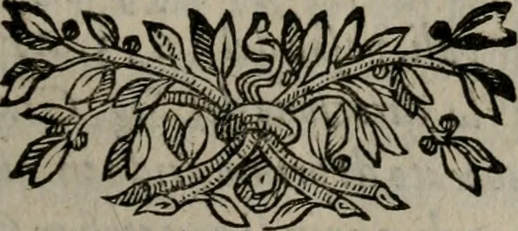 An illustration from Memorie, imprese, e ritratti de' signori Accademici Gelati de Bologna, 1672, leaf 292