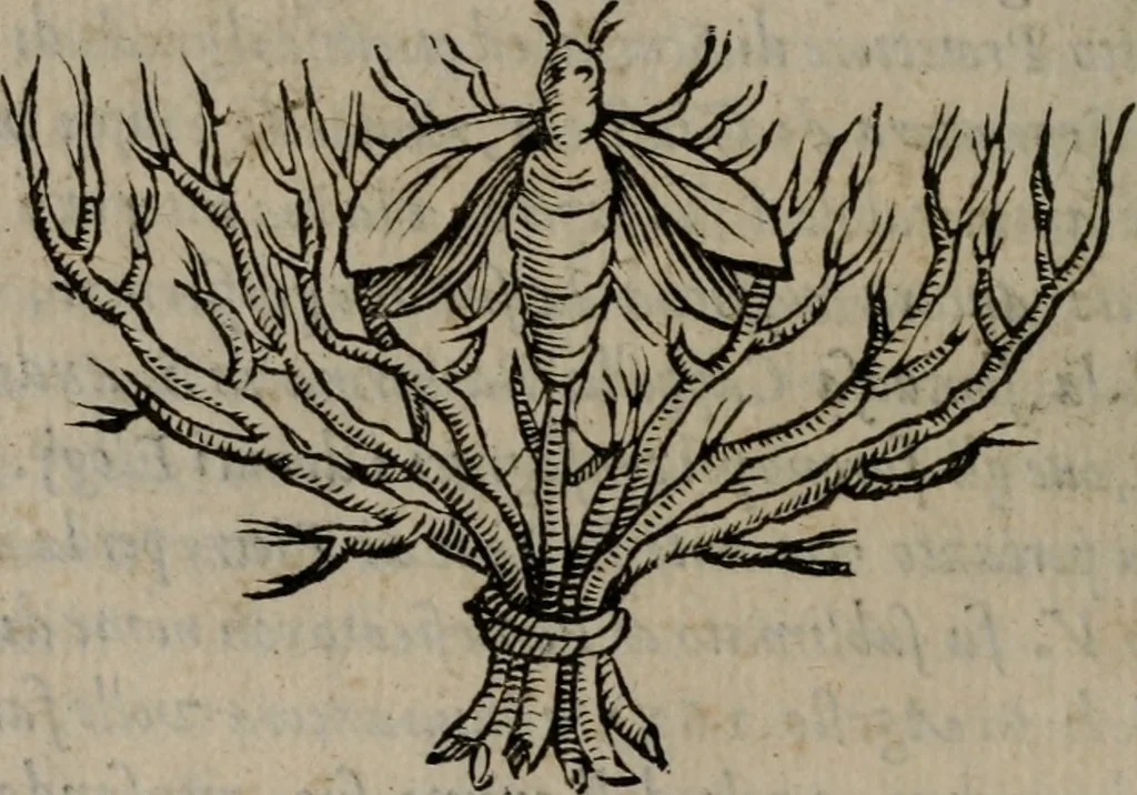 An illustration from Memorie, imprese, e ritratti de' signori Accademici Gelati de Bologna, 1672, leaf 31