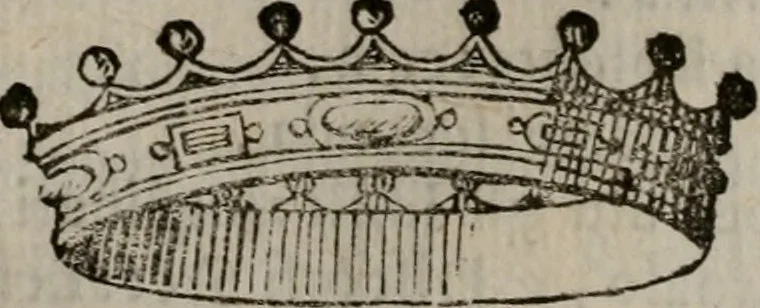 An illustration from Memorie, imprese, e ritratti de' signori Accademici Gelati de Bologna, 1672, leaf 315