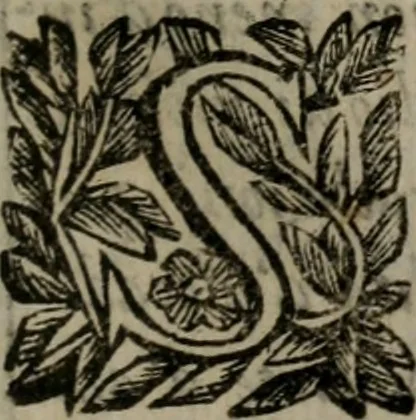 An illustration from Memorie, imprese, e ritratti de' signori Accademici Gelati de Bologna, 1672, leaf 316