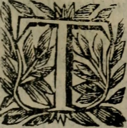 An illustration from Memorie, imprese, e ritratti de' signori Accademici Gelati de Bologna, 1672, leaf 324