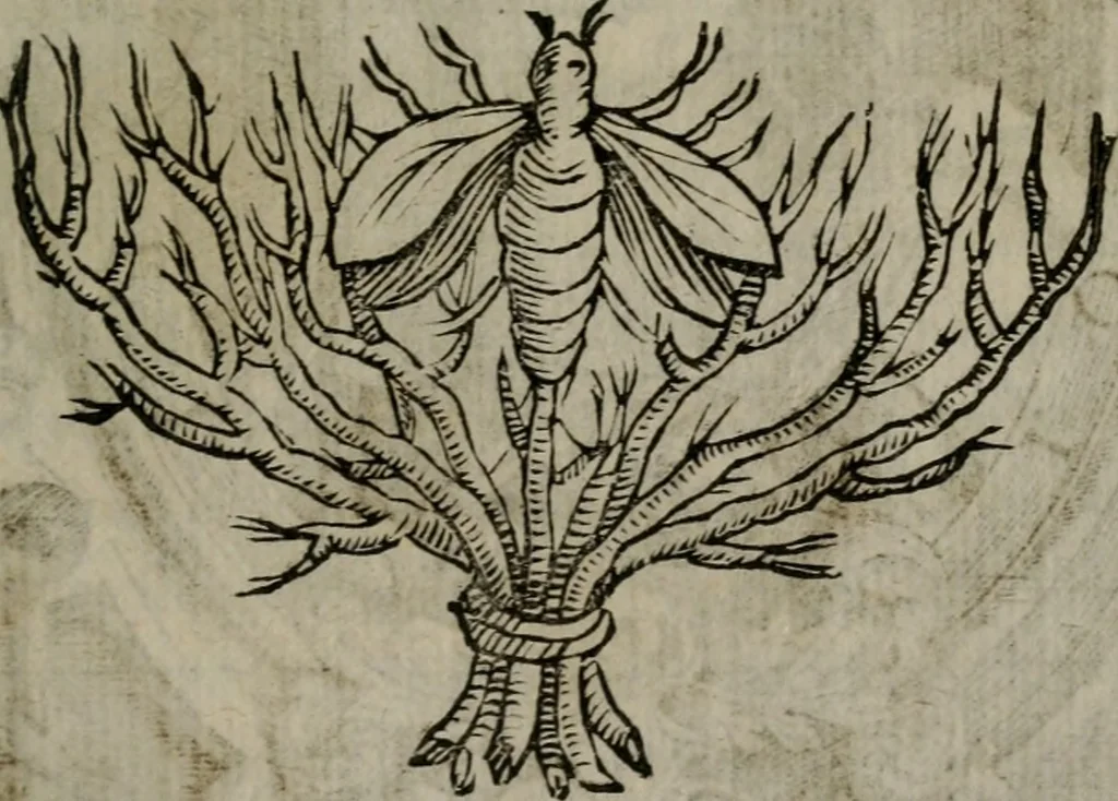 An illustration from Memorie, imprese, e ritratti de' signori Accademici Gelati de Bologna, 1672, leaf 342