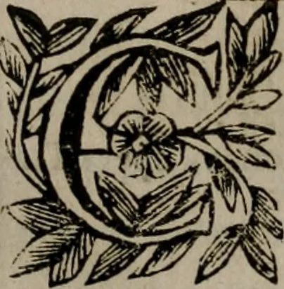 An illustration from Memorie, imprese, e ritratti de' signori Accademici Gelati de Bologna, 1672, leaf 353