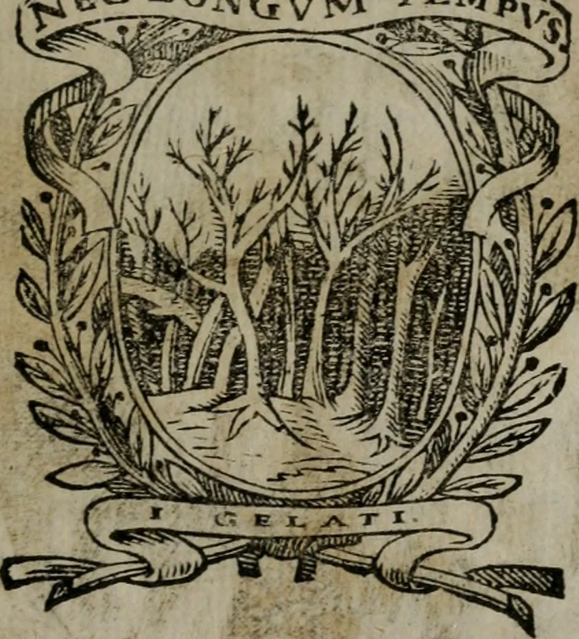An illustration from Memorie, imprese, e ritratti de' signori Accademici Gelati de Bologna, 1672, leaf 356