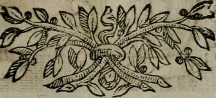 An illustration from Memorie, imprese, e ritratti de' signori Accademici Gelati de Bologna, 1672, leaf 370