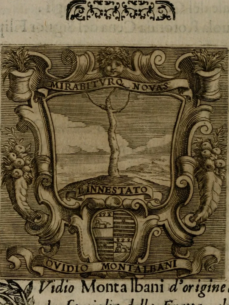 An illustration from Memorie, imprese, e ritratti de' signori Accademici Gelati de Bologna, 1672, leaf 385