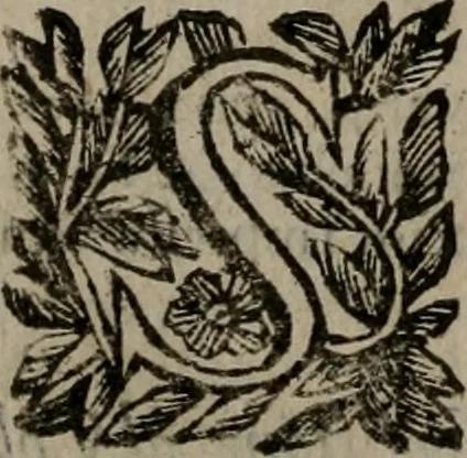 An illustration from Memorie, imprese, e ritratti de' signori Accademici Gelati de Bologna, 1672, leaf 389