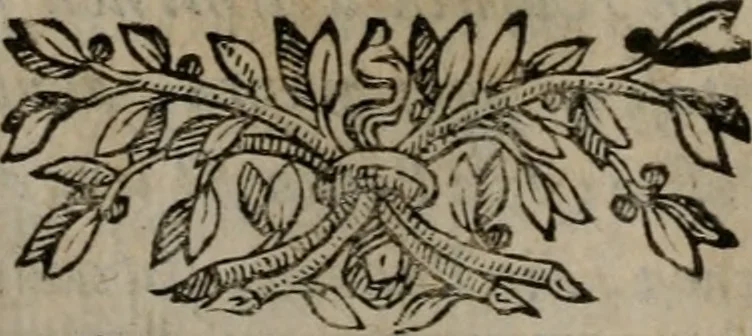 An illustration from Memorie, imprese, e ritratti de' signori Accademici Gelati de Bologna, 1672, leaf 391