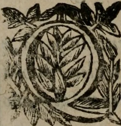 An illustration from Memorie, imprese, e ritratti de' signori Accademici Gelati de Bologna, 1672, leaf 411
