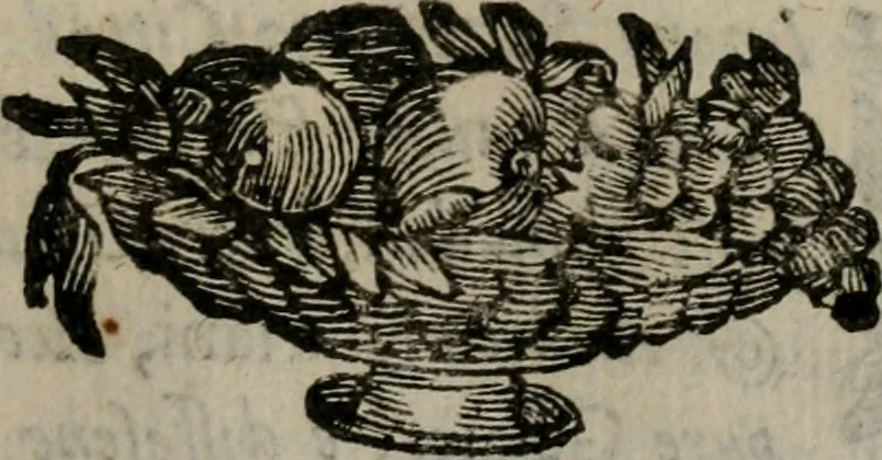 An illustration from Memorie, imprese, e ritratti de' signori Accademici Gelati de Bologna, 1672, leaf 412
