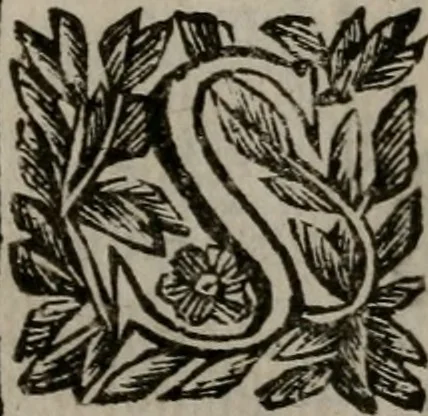An illustration from Memorie, imprese, e ritratti de' signori Accademici Gelati de Bologna, 1672, leaf 413