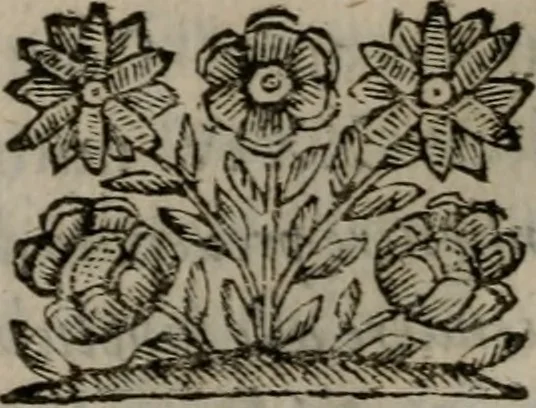 An illustration from Memorie, imprese, e ritratti de' signori Accademici Gelati de Bologna, 1672, leaf 415