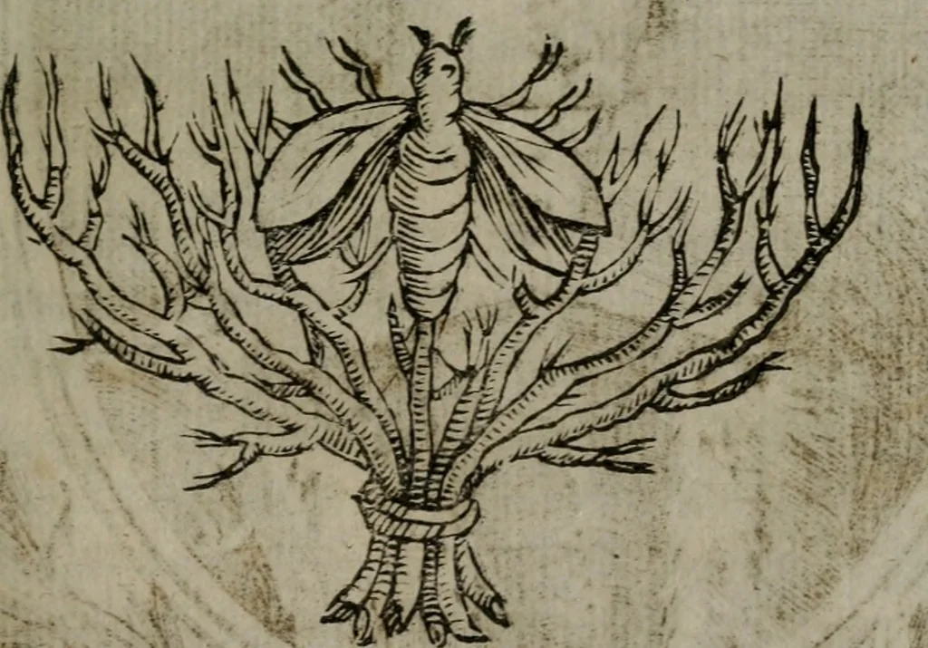 An illustration from Memorie, imprese, e ritratti de' signori Accademici Gelati de Bologna, 1672, leaf 418