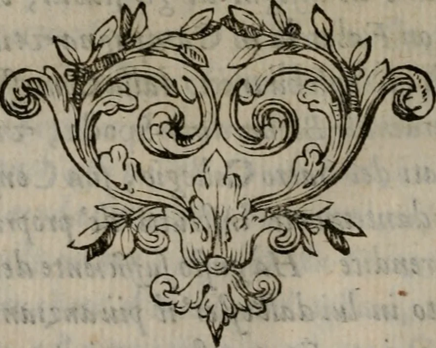 An illustration from Memorie, imprese, e ritratti de' signori Accademici Gelati de Bologna, 1672, leaf 435