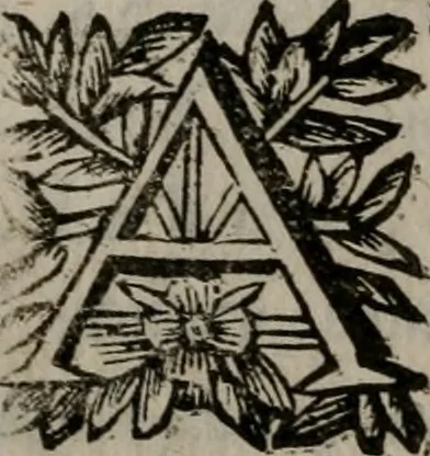 An illustration from Memorie, imprese, e ritratti de' signori Accademici Gelati de Bologna, 1672, leaf 45