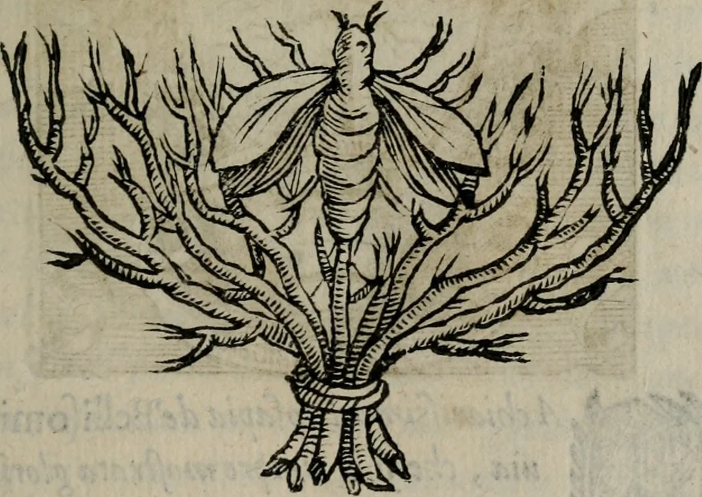 An illustration from Memorie, imprese, e ritratti de' signori Accademici Gelati de Bologna, 1672, leaf 74