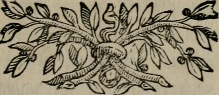 An illustration from Memorie, imprese, e ritratti de' signori Accademici Gelati de Bologna, 1672, leaf 80