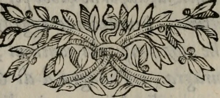 An illustration from Memorie, imprese, e ritratti de' signori Accademici Gelati de Bologna, 1672, leaf 91