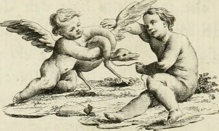 An illustration from Memorie intorno alle pubbliche fabbriche piu insigni della città di Brescia, 1778, leaf 67