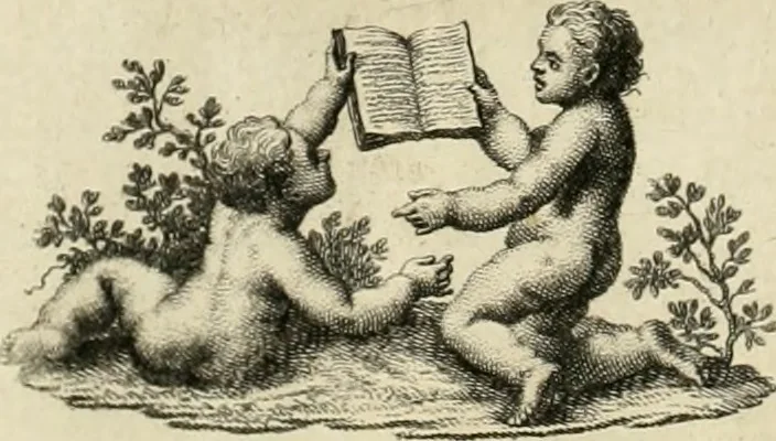 An illustration from Memorie intorno alle pubbliche fabbriche piu insigni della città di Brescia, 1778, leaf 79