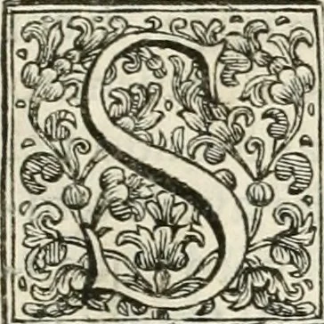 An illustration from Memorie istoriche della miracolosa immagine di Maria Vergine dell' Impruneta, 1714, leaf 14