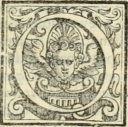 An illustration from Memorie istoriche della miracolosa immagine di Maria Vergine dell' Impruneta, 1714, leaf 22