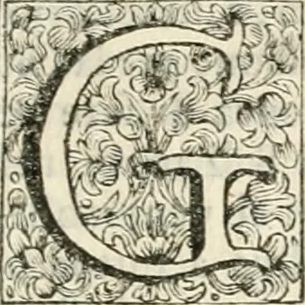 An illustration from Memorie istoriche della miracolosa immagine di Maria Vergine dell' Impruneta, 1714, leaf 250
