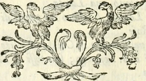 An illustration from Memorie istoriche della miracolosa immagine di Maria Vergine dell' Impruneta, 1714, leaf 331