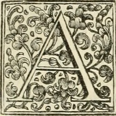 An illustration from Memorie istoriche della miracolosa immagine di Maria Vergine dell' Impruneta, 1714, leaf 338