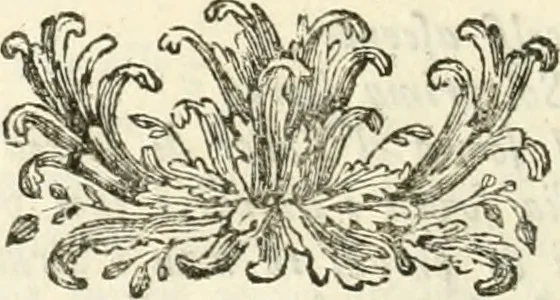 An illustration from Memorie istoriche della miracolosa immagine di Maria Vergine dell' Impruneta, 1714, leaf 399