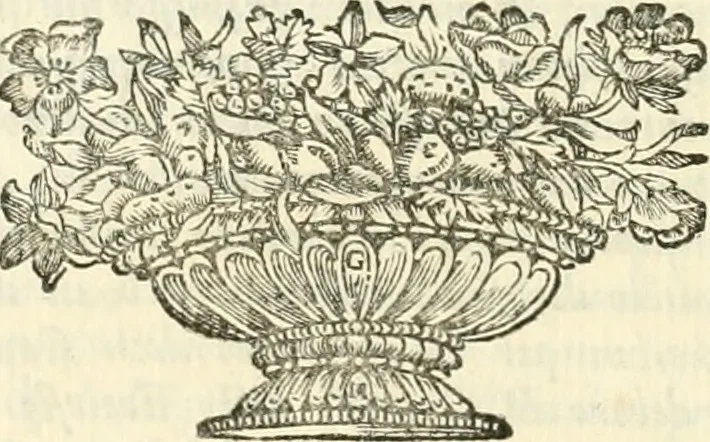 An illustration from Memorie istoriche della miracolosa immagine di Maria Vergine dell' Impruneta, 1714, leaf 575