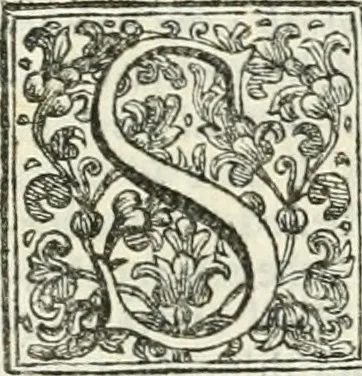 An illustration from Memorie istoriche della miracolosa immagine di Maria Vergine dell' Impruneta, 1714, leaf 594