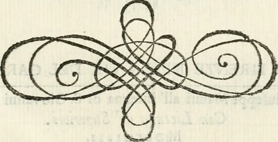 An illustration from Memorie istoriche della miracolosa immagine di Maria Vergine dell' Impruneta, 1714, leaf 650