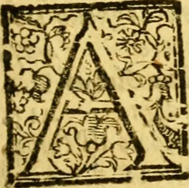 An illustration from Memorie istoriche della citta di Pisa, 1682, leaf 22