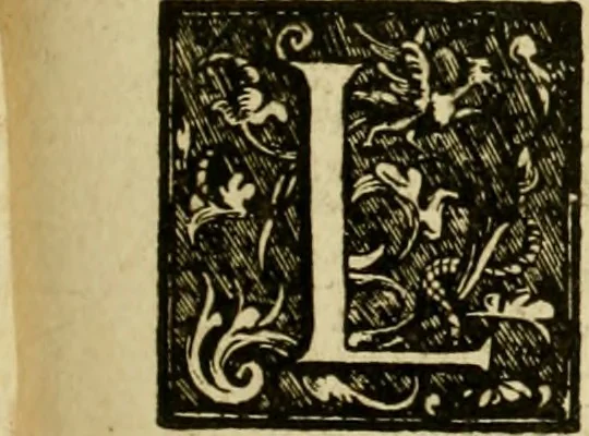 An illustration from Memorie istoriografiche delli regni della Morea e Negroponte e luoghi adiacenti, 1686, leaf 132