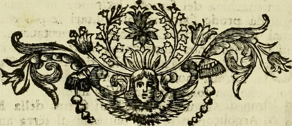 An illustration from Memorie istoriografiche delli regni della Morea e Negroponte e luoghi adiacenti, 1686, leaf 25