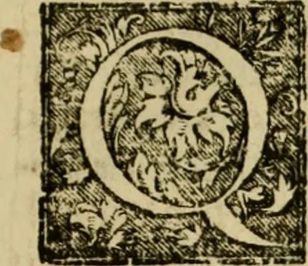 An illustration from Memorie istoriografiche delli regni della Morea e Negroponte e luoghi adiacenti, 1686, leaf 28