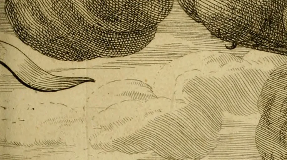 An illustration from Memorie istoriografiche delli regni della Morea e Negroponte e luoghi adiacenti, 1686, leaf 66