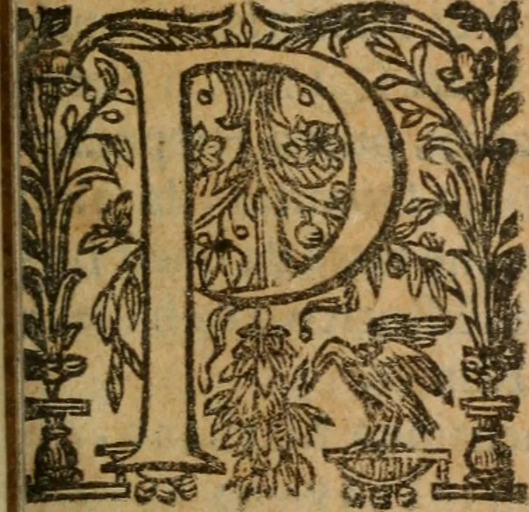 An illustration from Memorie sacre delle sette chiese di Roma e di altri luoghi, che si trouano per le strade di esse ..., 1630, leaf 22