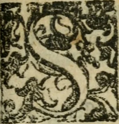 An illustration from Memorie sacre delle sette chiese di Roma e di altri luoghi, che si trouano per le strade di esse ..., 1630, leaf 974