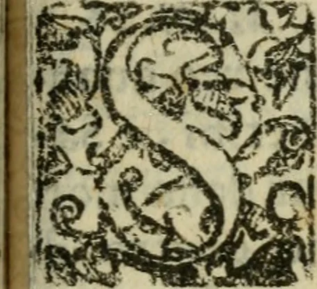 An illustration from Memorie sacre delle sette chiese di Roma e di altri luoghi, che si trouano per le strade di esse ..., 1630, leaf 990